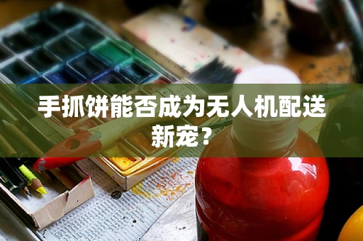 手抓饼能否成为无人机配送新宠？