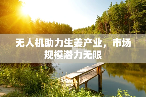无人机助力生姜产业，市场规模潜力无限