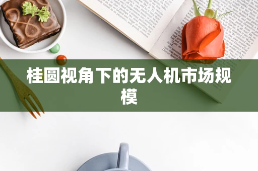 桂圆视角下的无人机市场规模