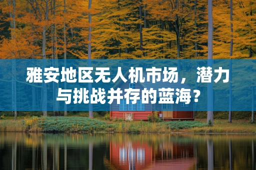 雅安地区无人机市场，潜力与挑战并存的蓝海？