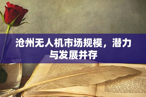 沧州无人机市场规模，潜力与发展并存
