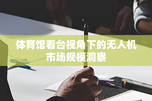 体育馆看台视角下的无人机市场规模洞察