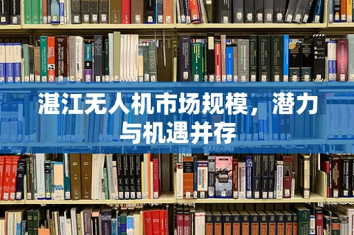 湛江无人机市场规模，潜力与机遇并存