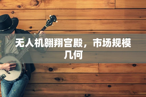 无人机翱翔宫殿，市场规模几何