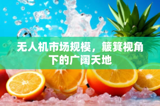 无人机市场规模，簸箕视角下的广阔天地
