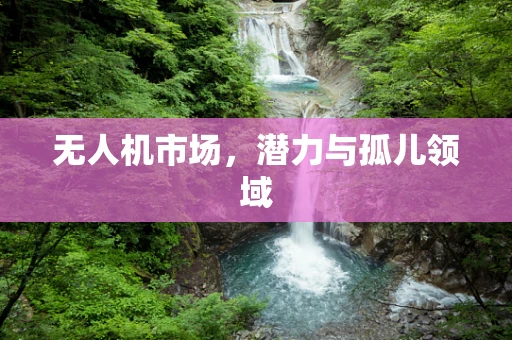 无人机市场，潜力与孤儿领域
