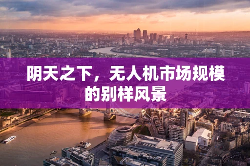 阴天之下，无人机市场规模的别样风景