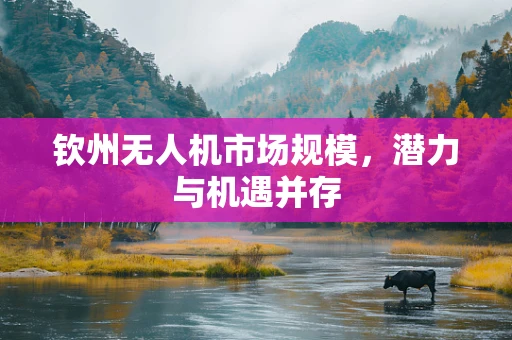 钦州无人机市场规模，潜力与机遇并存