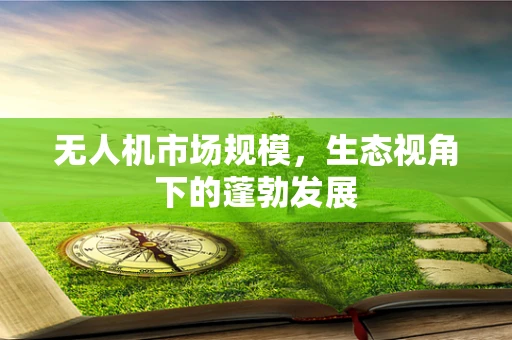 无人机市场规模，生态视角下的蓬勃发展