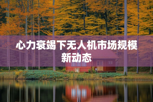 心力衰竭下无人机市场规模新动态