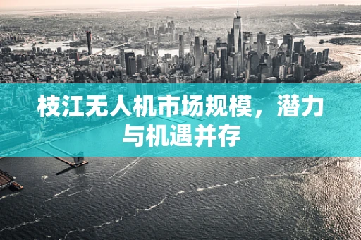 枝江无人机市场规模，潜力与机遇并存