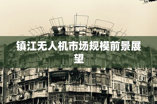 镇江无人机市场规模前景展望