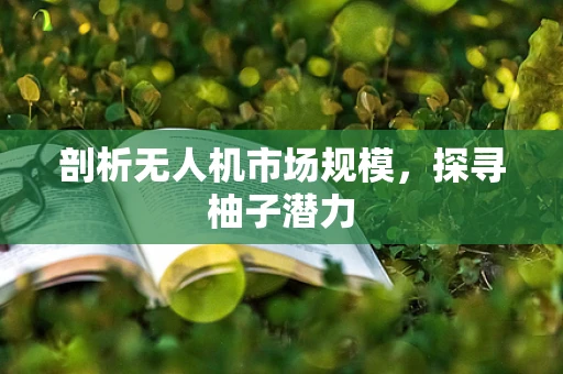 剖析无人机市场规模，探寻柚子潜力