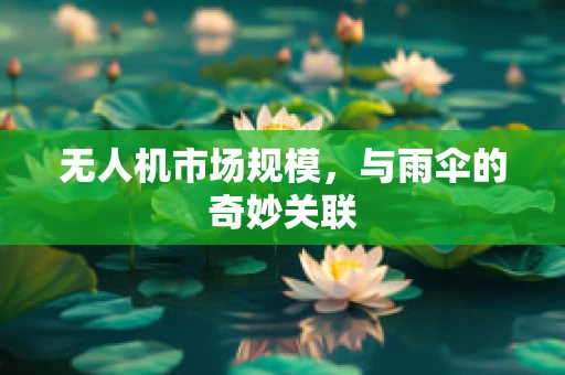 无人机市场规模，与雨伞的奇妙关联