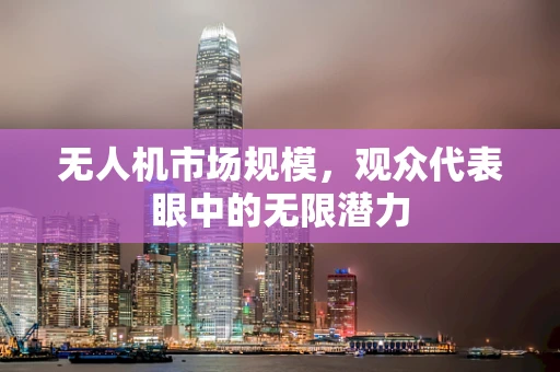 无人机市场规模，观众代表眼中的无限潜力