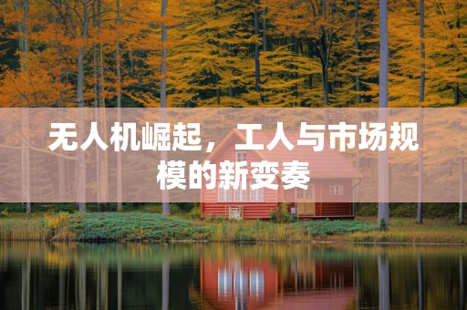 无人机崛起，工人与市场规模的新变奏
