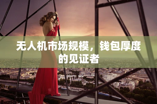 无人机市场规模，钱包厚度的见证者