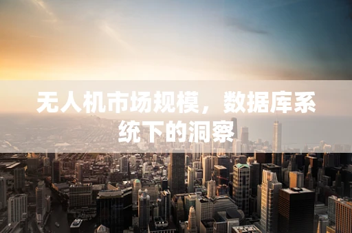 无人机市场规模，数据库系统下的洞察