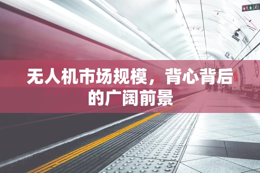无人机市场规模，背心背后的广阔前景