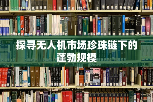 探寻无人机市场珍珠链下的蓬勃规模