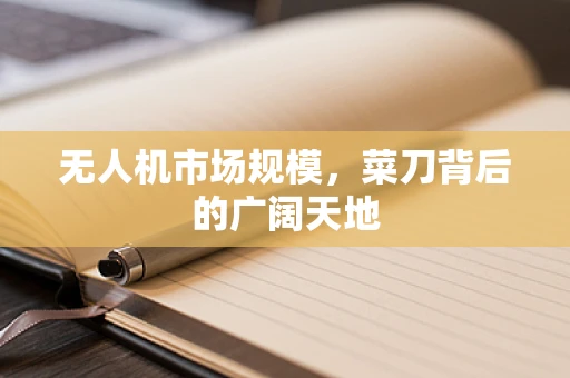 无人机市场规模，菜刀背后的广阔天地