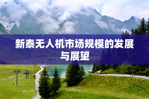 新泰无人机市场规模的发展与展望