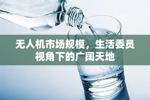 无人机市场规模，生活委员视角下的广阔天地
