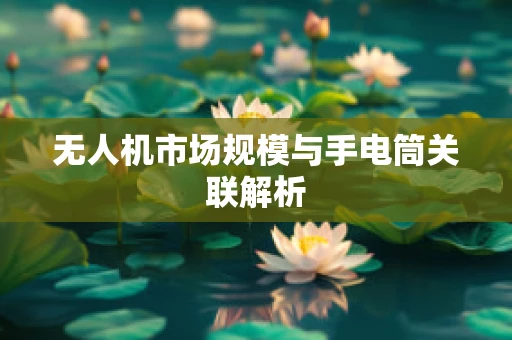 无人机市场规模与手电筒关联解析