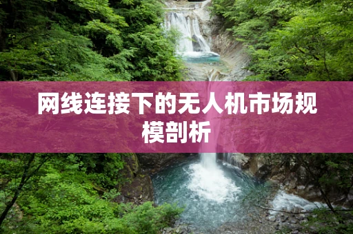 网线连接下的无人机市场规模剖析
