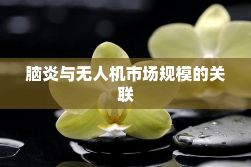 脑炎与无人机市场规模的关联