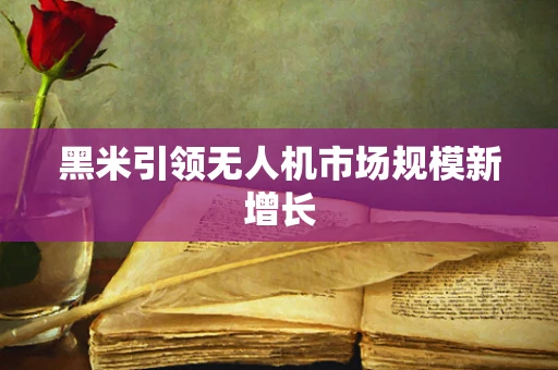 黑米引领无人机市场规模新增长