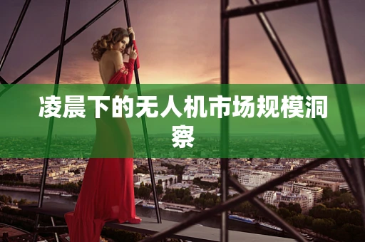 凌晨下的无人机市场规模洞察
