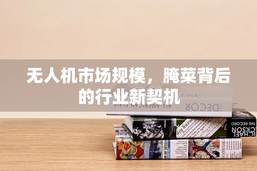 无人机市场规模，腌菜背后的行业新契机
