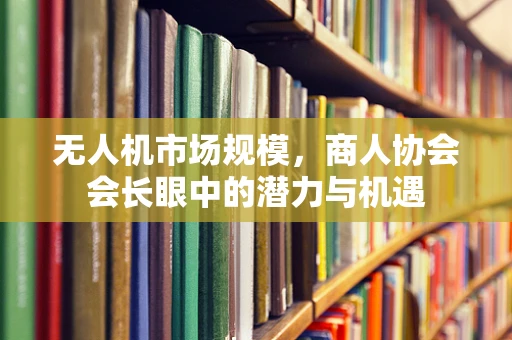 无人机市场规模，商人协会会长眼中的潜力与机遇