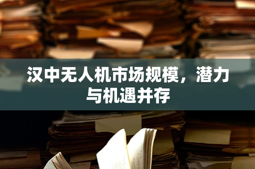 汉中无人机市场规模，潜力与机遇并存