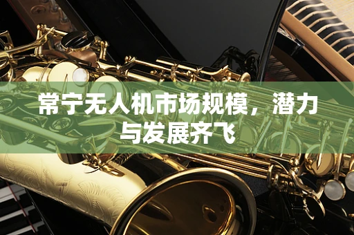 常宁无人机市场规模，潜力与发展齐飞