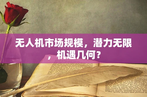 无人机市场规模，潜力无限，机遇几何？