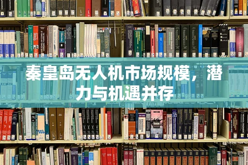 秦皇岛无人机市场规模，潜力与机遇并存