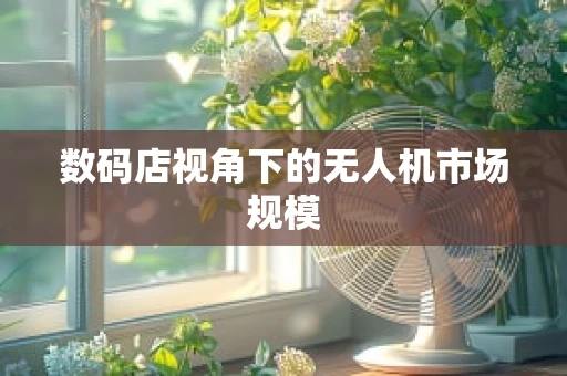 数码店视角下的无人机市场规模