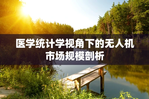 医学统计学视角下的无人机市场规模剖析