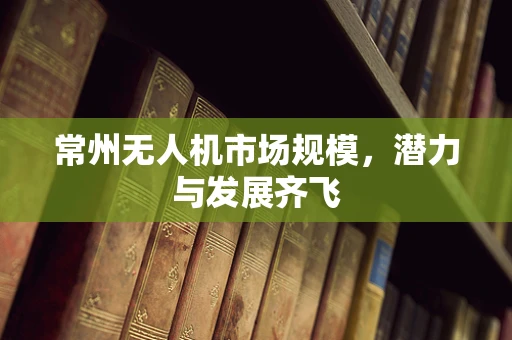 常州无人机市场规模，潜力与发展齐飞