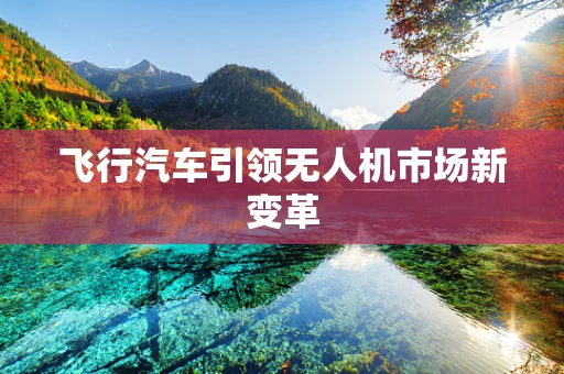 飞行汽车引领无人机市场新变革