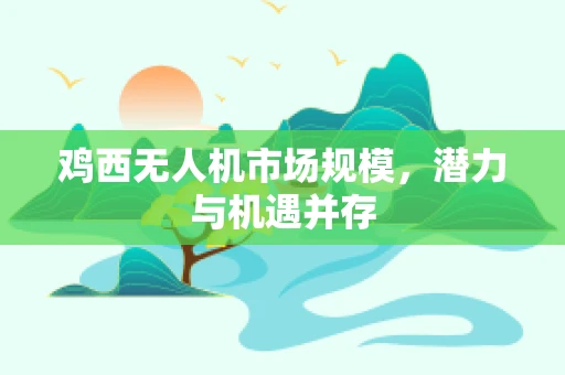 鸡西无人机市场规模，潜力与机遇并存