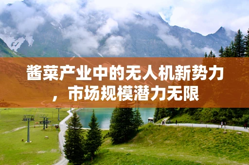 酱菜产业中的无人机新势力，市场规模潜力无限