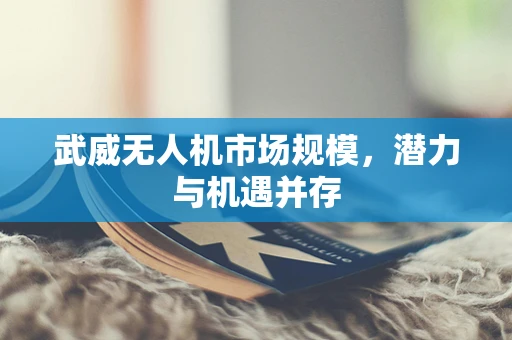 武威无人机市场规模，潜力与机遇并存