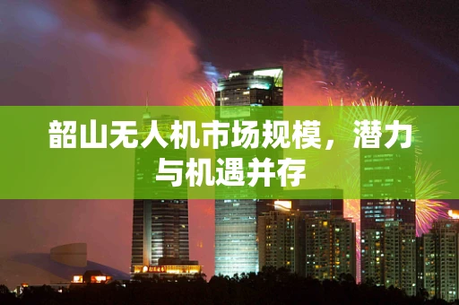 韶山无人机市场规模，潜力与机遇并存