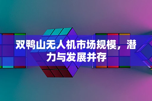 双鸭山无人机市场规模，潜力与发展并存