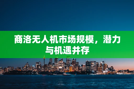 商洛无人机市场规模，潜力与机遇并存