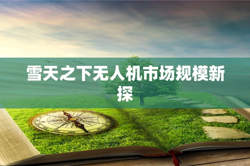 雪天之下无人机市场规模新探