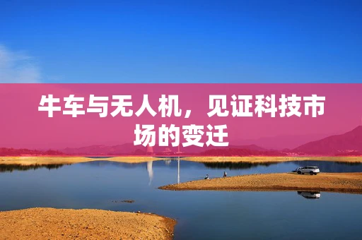 牛车与无人机，见证科技市场的变迁